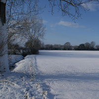 Suffolk fields in snow and with blue sky.  The light, space and peace of Suffolk coastal area (an area of outstanding beauty) inspires Cathie's teaching as the ancient yogis were inspired by nature.