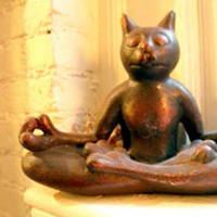 Quirky wooden cat model in Lotus position. Cat posture is actually done on all fours but Cathie liked the humour of this picture! She brings humour and fun into her teaching.